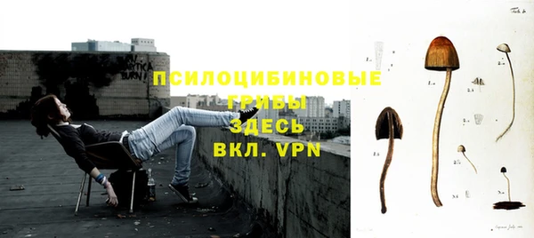spice Абинск