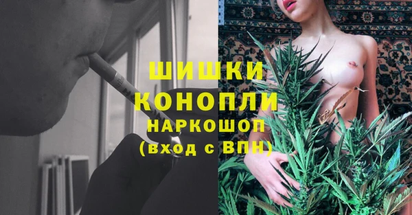 стаф Армянск
