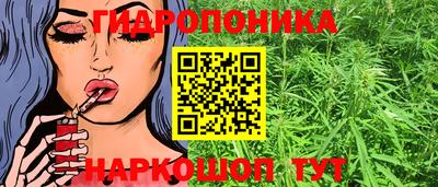 молекула духа Ярославль