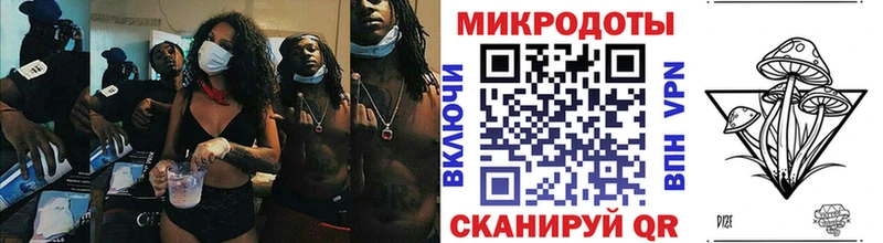 Галлюциногенные грибы Psilocybe  Архангельск 