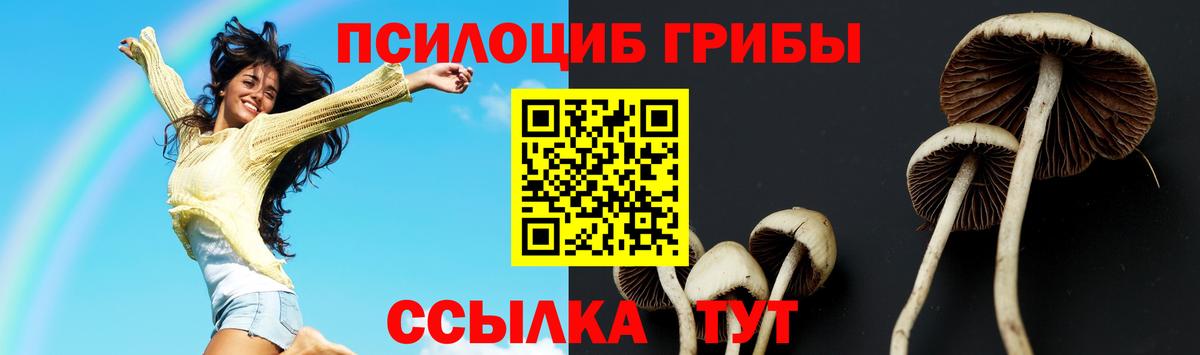Архангельск  Псилоцибиновые грибы Psilocybe  купить   Вход с VPN 